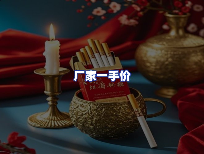 专业团队